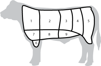 Drawing of a wholesale cut of beef