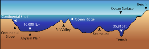 Features Of The Ocean Floor Lessons Tes Teach